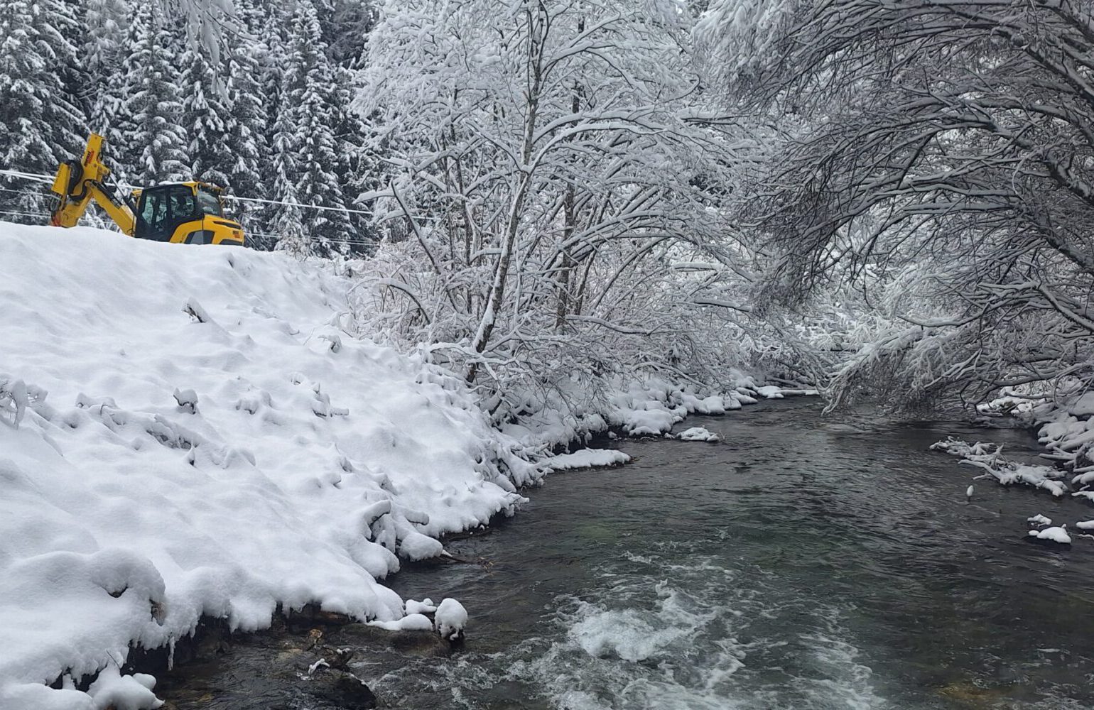 Spezialbau Baggerarbeiten Spinnenbagger Mulcharbeiten Südtirol Hupfabagger